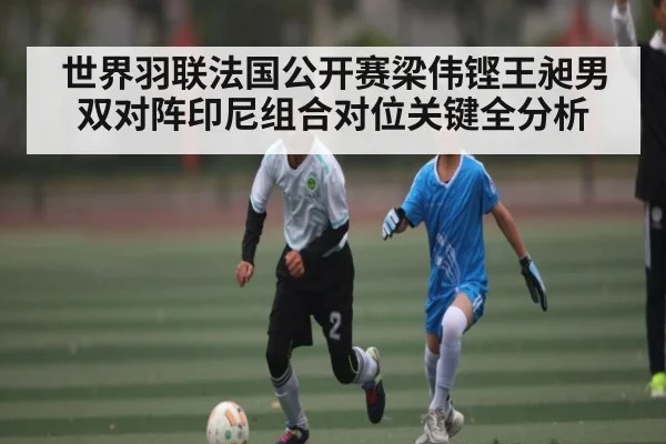 世界羽联法国公开赛梁伟铿王昶男双对阵印尼组合对位关键全分析