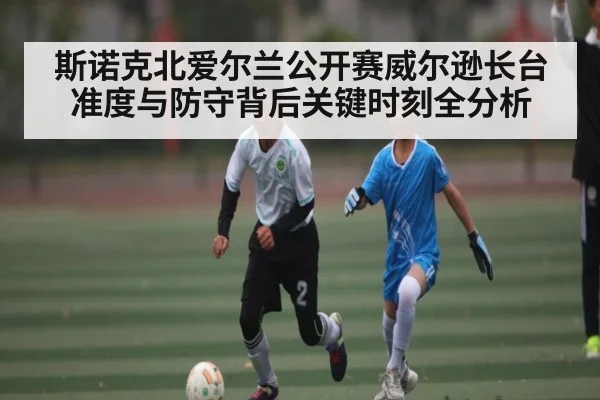 斯诺克北爱尔兰公开赛威尔逊长台准度与防守背后关键时刻全分析