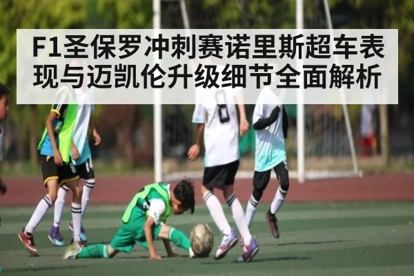 F1圣保罗冲刺赛诺里斯超车表现与迈凯伦升级细节全面解析